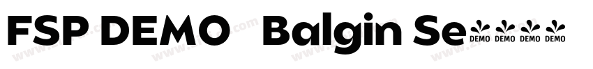 FSP DEMO   Balgin Se字体转换